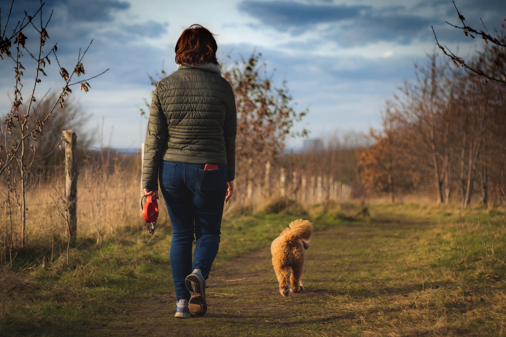 A Dog Is Walking In The Field With Its Owner.