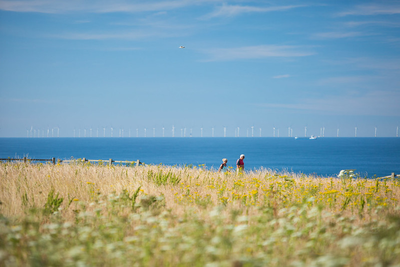 Wind turbines in the sea.